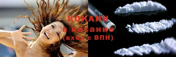 дживик Осинники