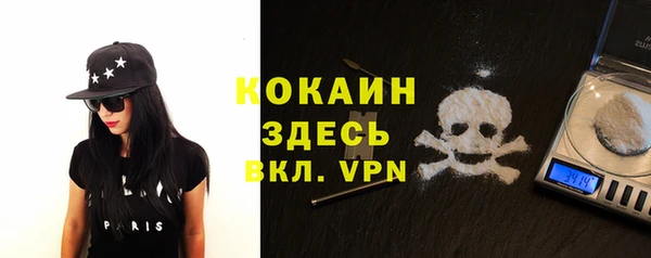 дживик Осинники